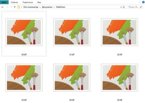 Иллюстрация к записи «Формат TIF и TIFF – файл изображения с тегами – как открыть и»