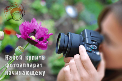 Иллюстрация к записи «5 лучших зеркальных фотокамер для любительской съёмки до 50000 рублей»