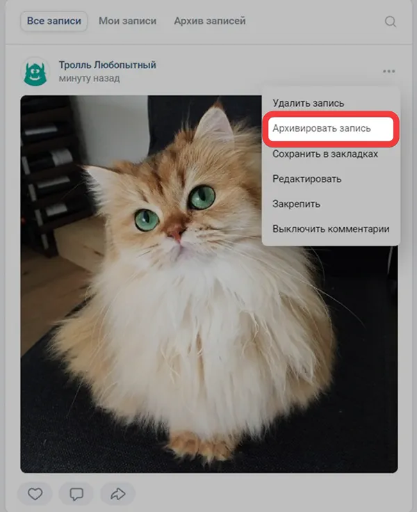 Архивирование записи ВКонтакте: как работает и чем полезно
