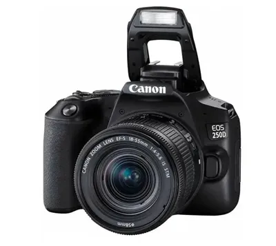 Фотоаппарат Canon 250D kit EF-S 18-55mm is STM
