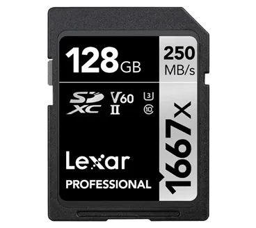 SD-карта Lexar Professional 1667x