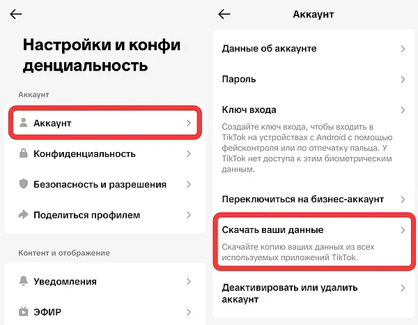 Переход к скачиванию личных данных аккаунта в TikTok