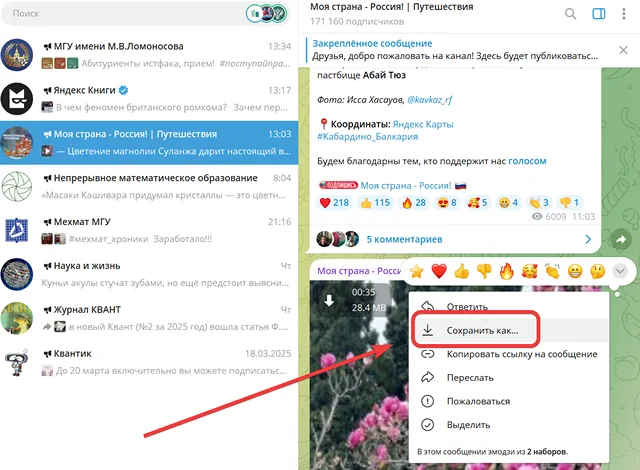 Ссылка для сохранения видео из Telegram на компьютере