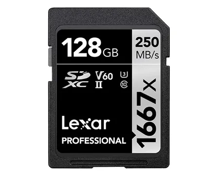 SD-карта Lexar Professional 1667x