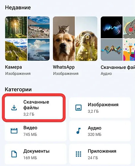 Категория скачанных файлов в приложении Google Files