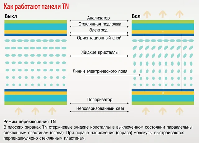 Принципы работы TN матрицы монитора