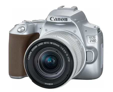 Фотоаппарат Canon EOS 250D Kit EF-S