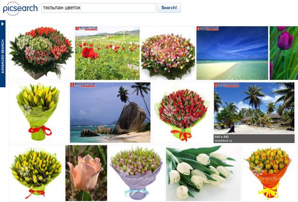 Поиск изображений с помощью сервиса PicSearch