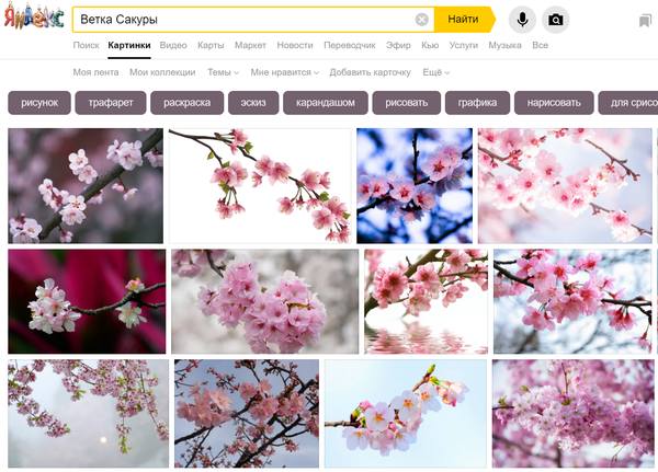 Поиск изображений с помощью Яндекс