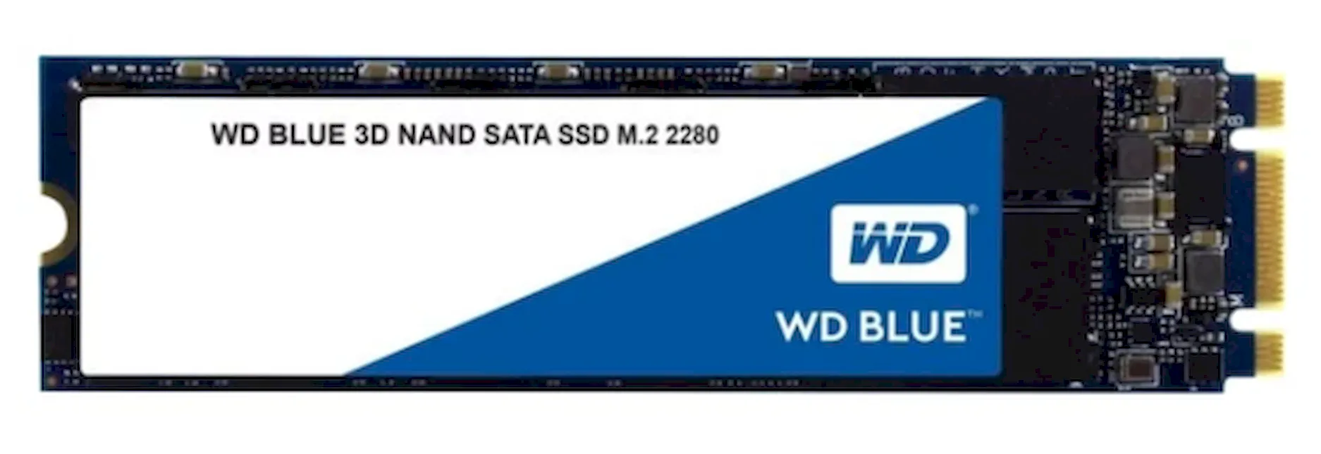 Диск SSD Western Digital Blue – отличный выбор для компьютерных игроков
