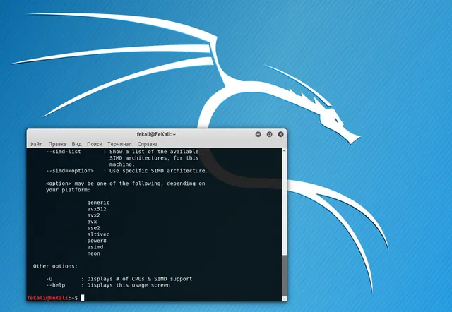 Инструмент взлома сетей Wi-Fi в системе Kali Linux