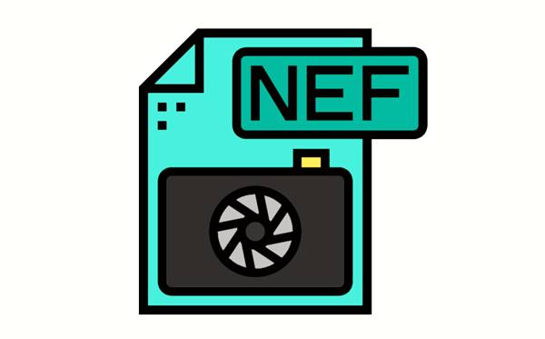 Значок файла формата NEF