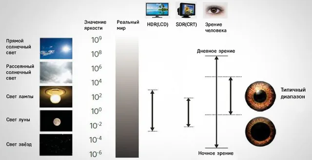 Типичные диапазоны экранов и чувствительность человеческого зрения