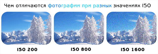влияние различных значений ISO на качество фотографий зимой