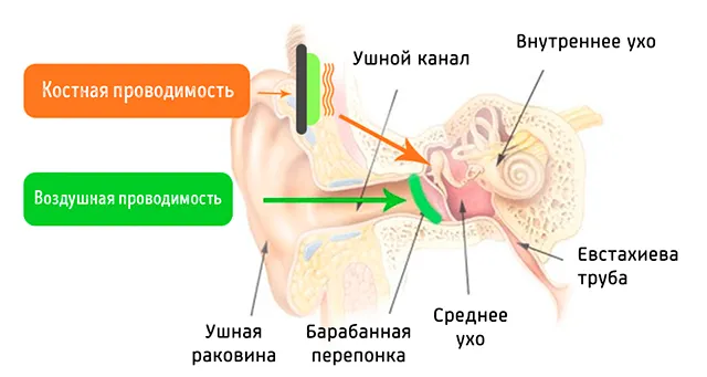 Как проходит звук при костной проводимости наушников